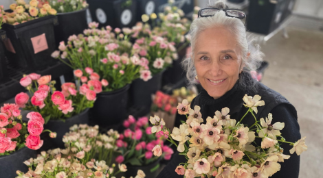 Trisha-butterfly-ranunculus